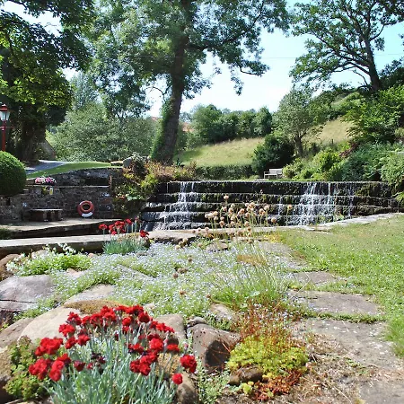 Woodlands